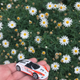 Such pretty flowers and a pretty Porsche!
